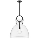 Waldo Pendant - Clear Glass / Matte Black