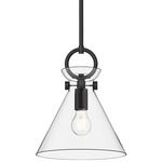 Emerson Pendant - Clear Glass / Matte Black