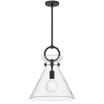 Emerson Pendant - Clear Glass / Matte Black