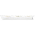 Amigo 6 inch Multiples Downlight Trim / Remodel Housing - White