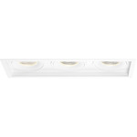 Amigo 6IN Multiples Downlight Trim / Remodel Housing - White