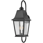 Kingston Hook Outdoor Wall Sconce - Black / Clear Seedy