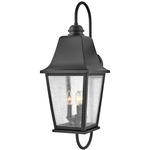 Kingston Hook Outdoor Wall Sconce - Black / Clear Seedy