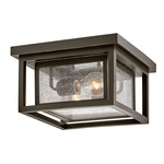 Republic Outdoor Ceiling Light - Oil Rubbed Bronze / Clear Seedy