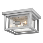 Republic Outdoor Ceiling Light - Satin Nickel / Clear Seedy