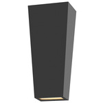 Cruz Outdoor Wall Sconce - Black / Etched Glass