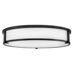 Lowell Opal Ceiling Light - Black / Etched Opal