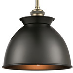Adirondack Stem Hung Pendant - Antique Brass / Matte Black