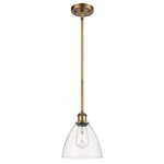 Bristol 8 Glass Stem Pendant - Brushed Brass / Clear