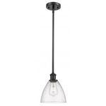 Bristol 8 Glass Stem Pendant - Matte Black / Clear Seedy