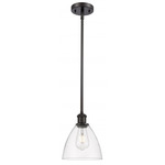 Bristol 8 Glass Stem Pendant - Oil Rubbed Bronze / Clear