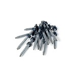 MF1 Tree Mount Lag Screws - Stainless Steel