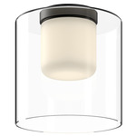 Birch Ceiling Light - Black / Clear / White