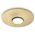 Sky Dome Wall/Ceiling Light - Matte Black / White Oak