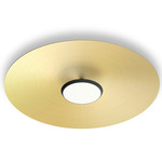 Sky Dome Wall/Ceiling Light - Matte Black / Brushed Brass