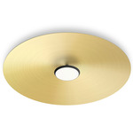 Sky Dome Wall/Ceiling Light - Matte Black / Brushed Brass