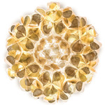 Clizia Mama Non Mama Ceiling / Wall Light - Gold / Mama Non Mama