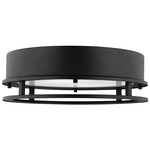 Union Outdoor Ceiling Light - Black / Frosted