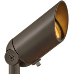 Hardy Island 12V MR16 Spot Light - Bronze / Clear