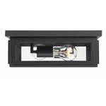 Byron Outdoor Ceiling Light - Matte Black / Clear