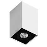 Box 1C PAR16 Ceiling Light - White / Black