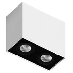 Box 2L 2-Light PAR16 Ceiling Light - White / Black