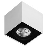 Box 1C AR111 Adjustable Ceiling Light - White / Black