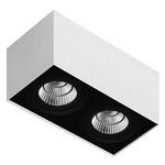 Box 2C 2-Light AR111 Adjustable Ceiling Light - White / Black