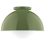 Axis Dome Ceiling Light with Glass - Fern Green / Opal