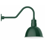 Deep Bowl Gooseneck Outdoor Wall Light - Forest Green