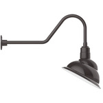 Emblem Outdoor Gooseneck Wall Light - Architectural Bronze / White