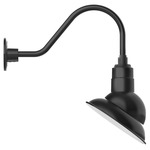 Emblem Outdoor Gooseneck Wall Light - Black / White