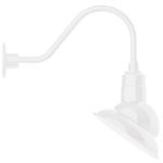 Emblem Outdoor Gooseneck Wall Light - White / White