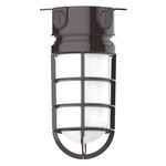 Vaportite Outdoor Ceiling Light Fixture - Architectural Bronze / Frosted