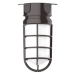 Vaportite Outdoor Ceiling Light - Architectural Bronze / Frosted