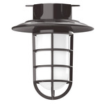 Vaportite Cap Outdoor Ceiling Light Fixture - Architectural Bronze / Frosted