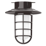 Vaportite Cap Outdoor Ceiling Light - Architectural Bronze / Frosted