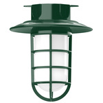 Vaportite Cap Outdoor Ceiling Light Fixture - Forest Green / Frosted