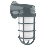Vaportite II Outdoor Wall Light - Slate Gray / Frosted
