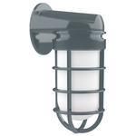 Vaportite Outdoor Wall Sconce - Slate Gray / Frosted