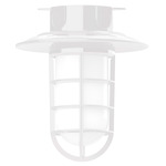 Vaportite Cap Outdoor Ceiling Light Fixture - White / Frosted