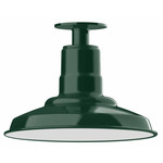 Warehouse Outdoor Ceiling Light Fixture - Forest Green