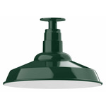 Warehouse Outdoor Ceiling Light Fixture - Forest Green