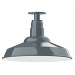 Warehouse Outdoor Ceiling Light Fixture - Slate Gray