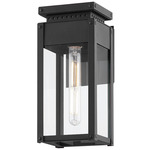 Braydan Outdoor Wall Light - Textured Black / Clear