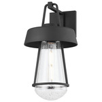 Brady Outdoor Wall Light - Textured Black / Clear