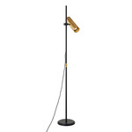 Quinn Floor Lamp - Black / Patina Brass