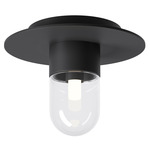 Everyday Wall / Ceiling Light - Black / Clear