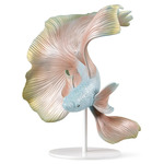 Betta Fish Sculpture - Multicolor