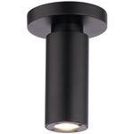 Caliber Outdoor Ceiling Light - Black